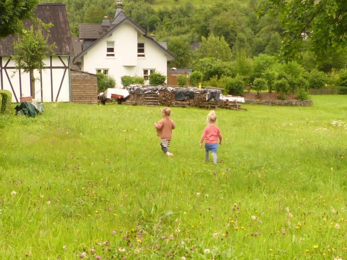 Ferienwohnung Rundumgruen Olpe bei Meschede Exteriör bild